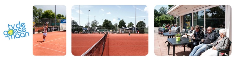 Tennisvereniging De Goese Maan