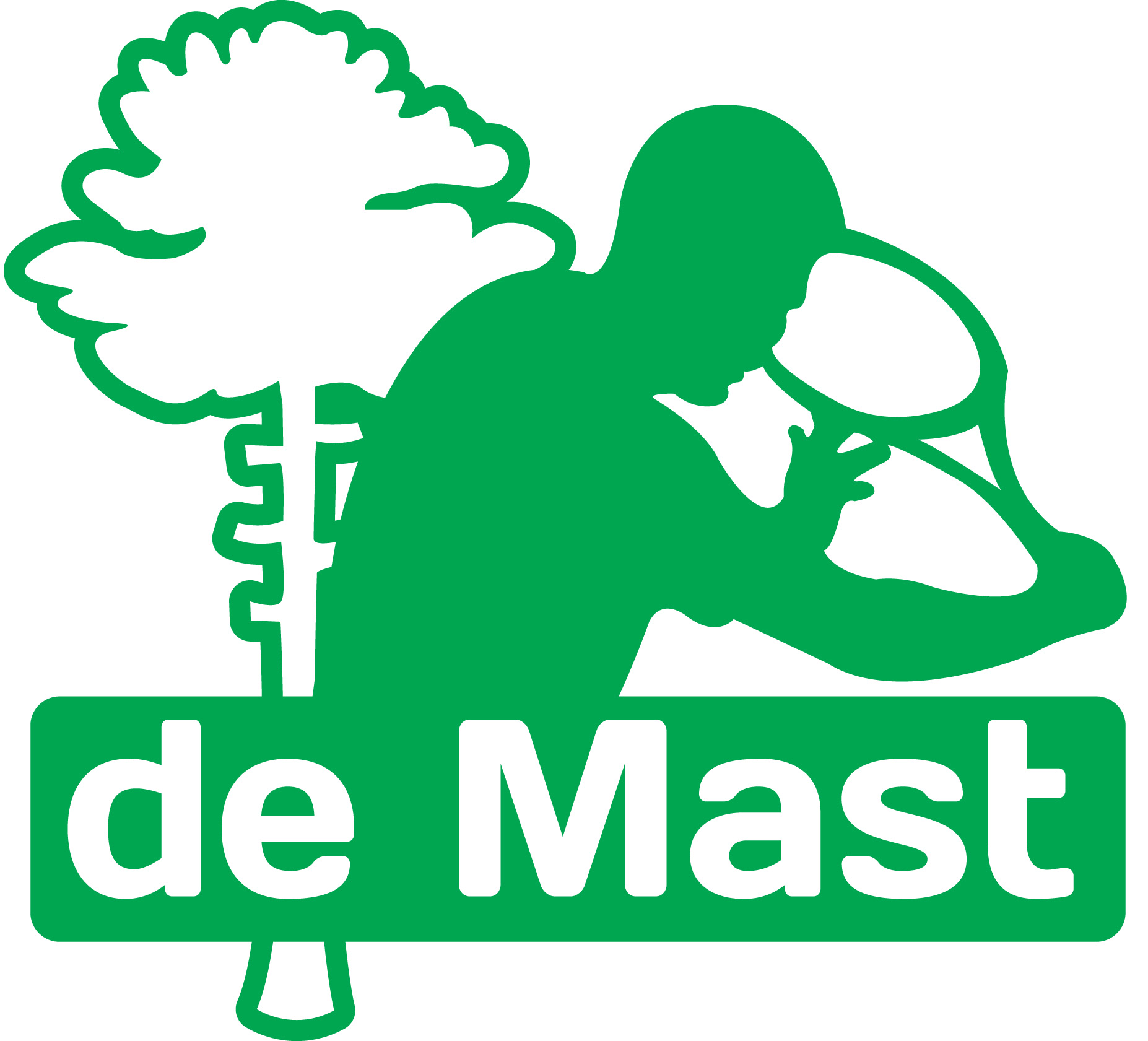 Logo TPV De Mast